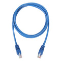 Cordón de parcheo UTP Cat 6 PVC azul (2 m) | Condunet | 8699862BPC