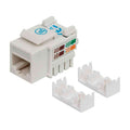 Jack UTP Cat 6 blanco | Intellinet | 210591